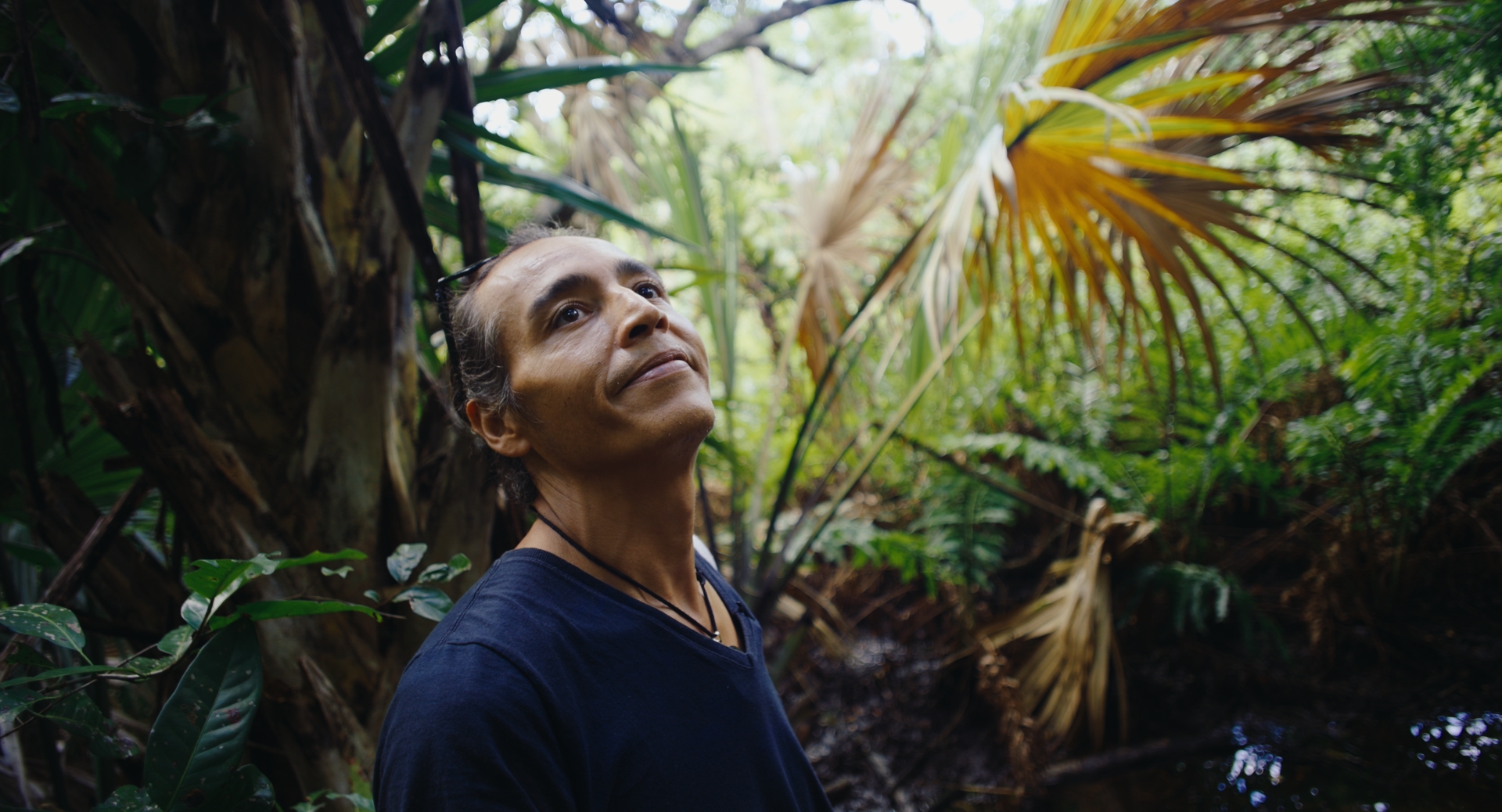 Coral protection film documentary in Mexico